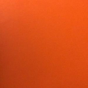 Meet your Posher, Adriana